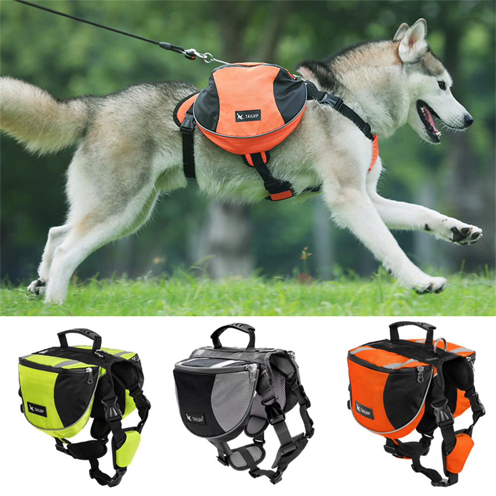 Hunde-Gewichtstrainings-Rucksa – Crossfit Weight Vest Bewertung und Preis